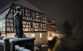 Sternen Bohlingen Aparthotel